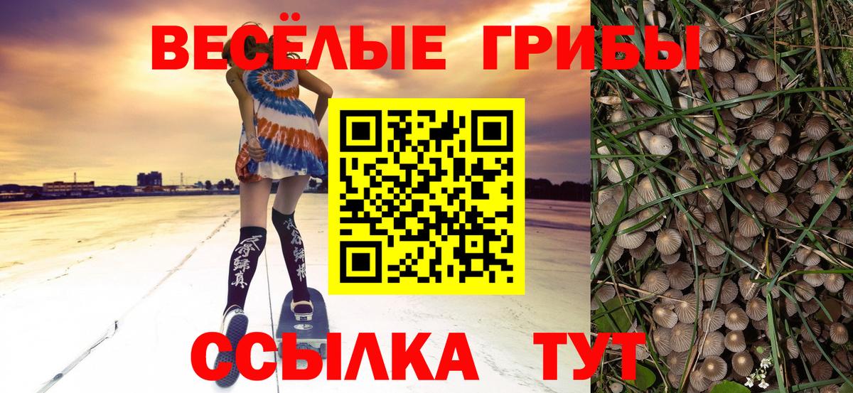 Галлюциногенные грибы мицелий Обнинск